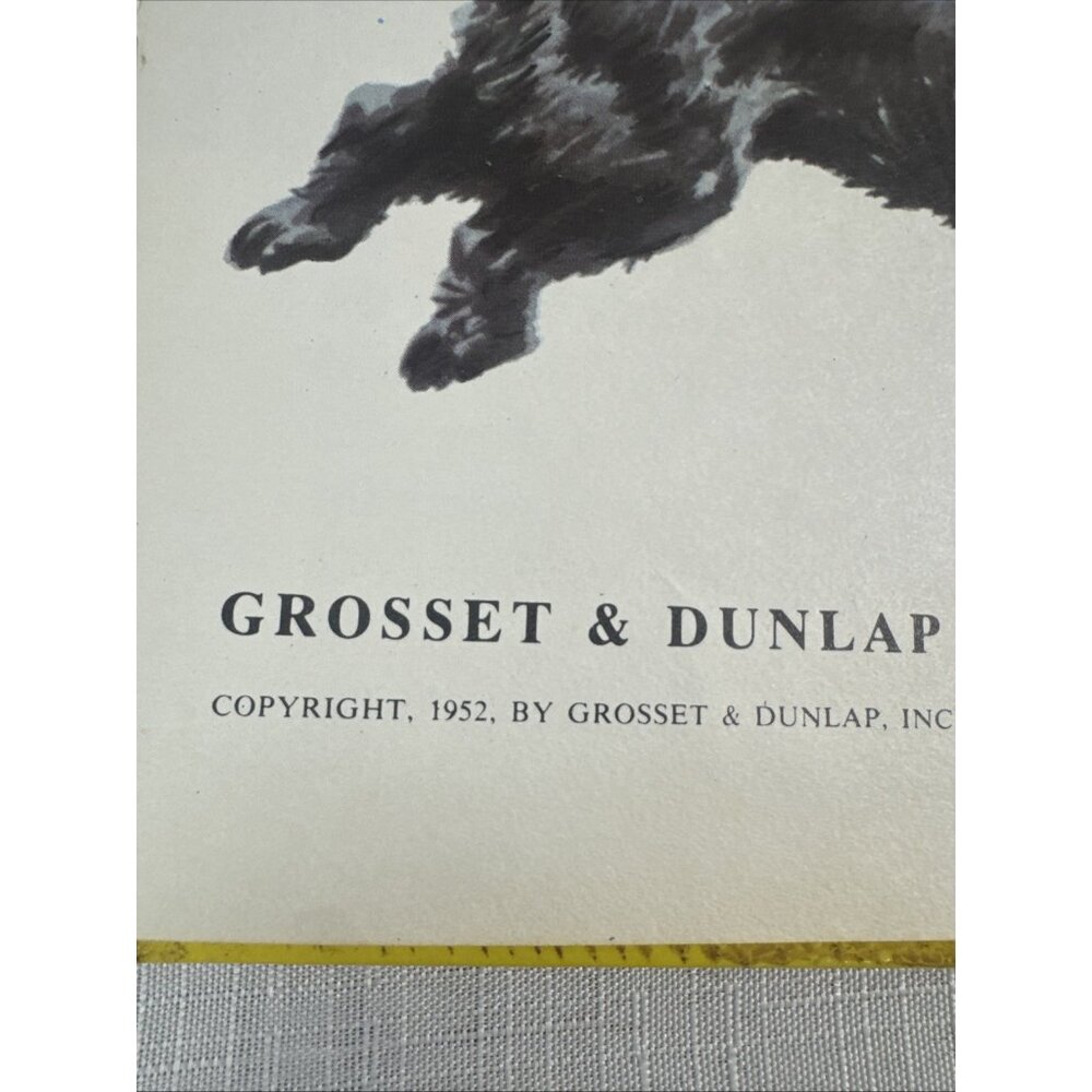 Vintage The Big Book Of Dogs 1952 HC By Felix Sutton Antique HTF Children’s Kids - Picture 14 of 16